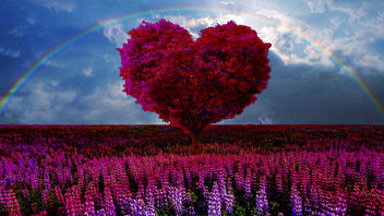 Love - Free image #456245
